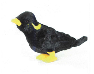 Obrázek z Ptáci plyš 20cm - Nias Hill Myna 